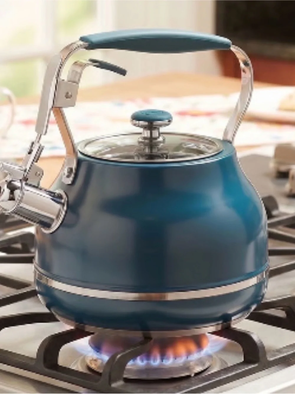 Princess House Navy Blue Whistling Tea Kettle
